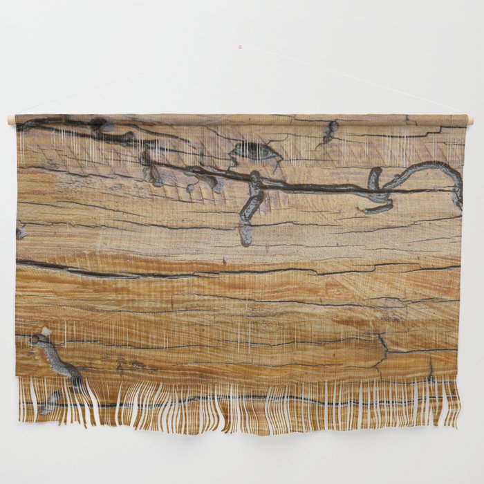Natural wood background, wood slice and organic texture Wall Hanging