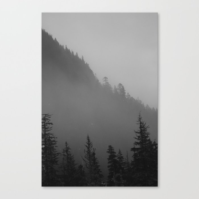Fog Canvas Print