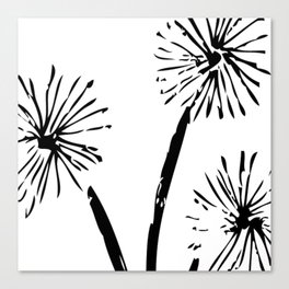 Black Dandelions Canvas Print