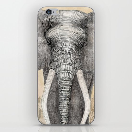 Council of Animals iPhone Skin