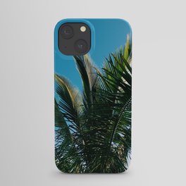 Underneath a Palm Tree iPhone Case