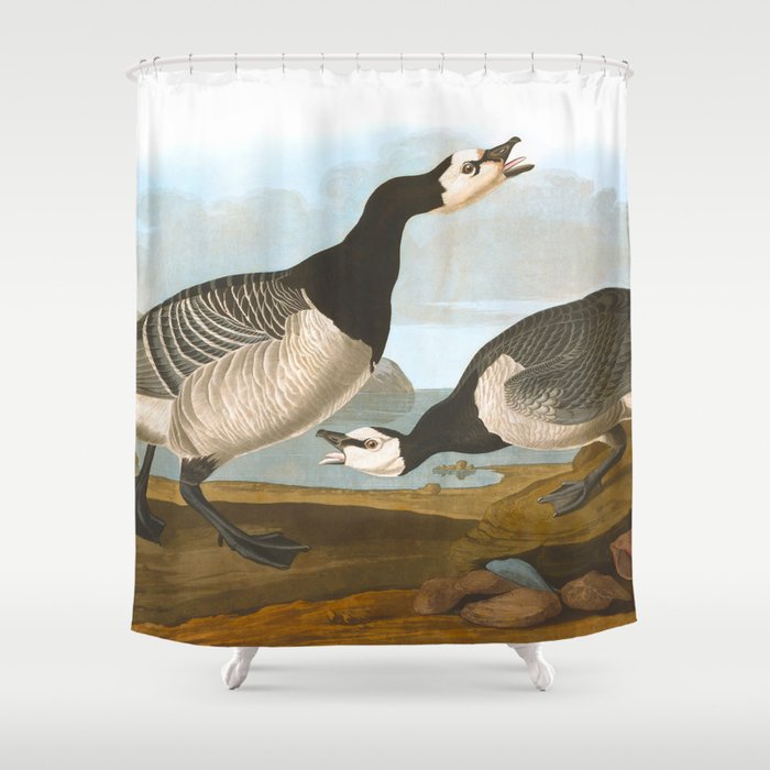 Barnacle Goose Shower Curtain