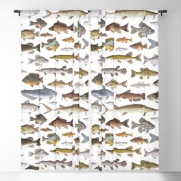 Southeast Freshwater Fish Blackout Curtain