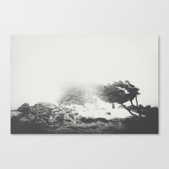 Sand Storm Canvas Print