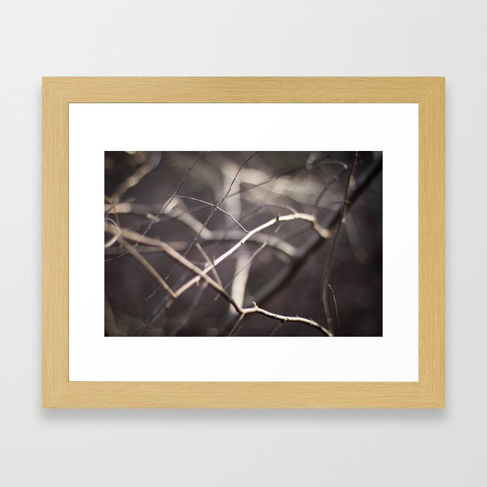 Twigs. Framed Art Print