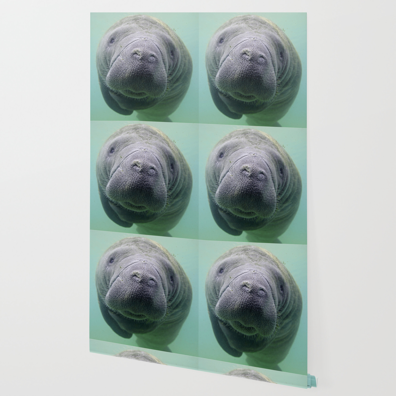 Manatee Wallpaper By Heidiingram Society6