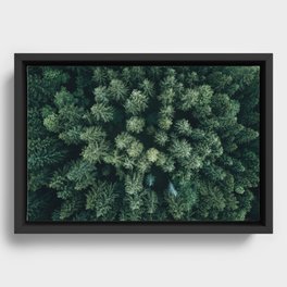 Forest from above - Landscape Photography Framed Canvas