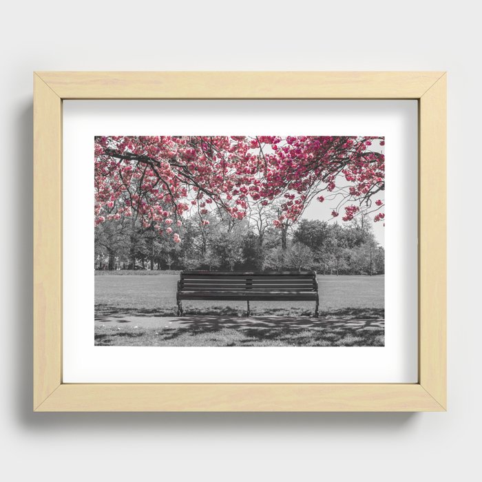 Cherry Blossom Recessed Framed Print