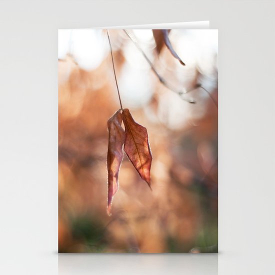 Late Autumn Light II Stationery Cards