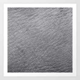 Modern Silver Leather Collection Art Print