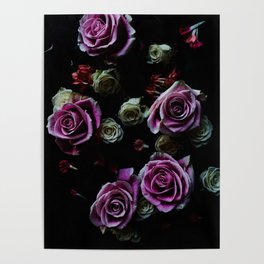 Dark Floral Pink Roses 2 Poster