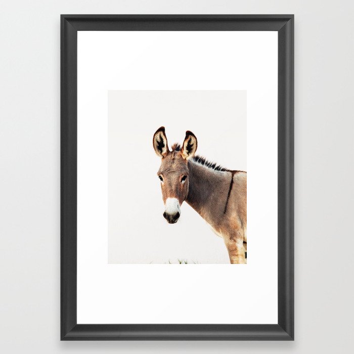 Framed Art Print