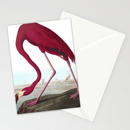 John James Audubon American Flamingo  Stationery Card