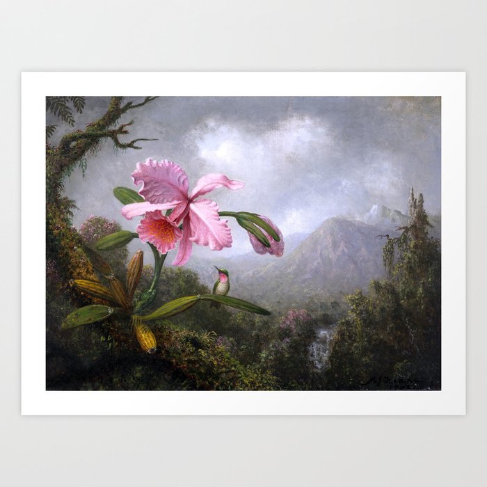 Martin Johnson Heade - Orchid And Hummingbird Near A Mountain Waterfall - Humming Birds Art Print