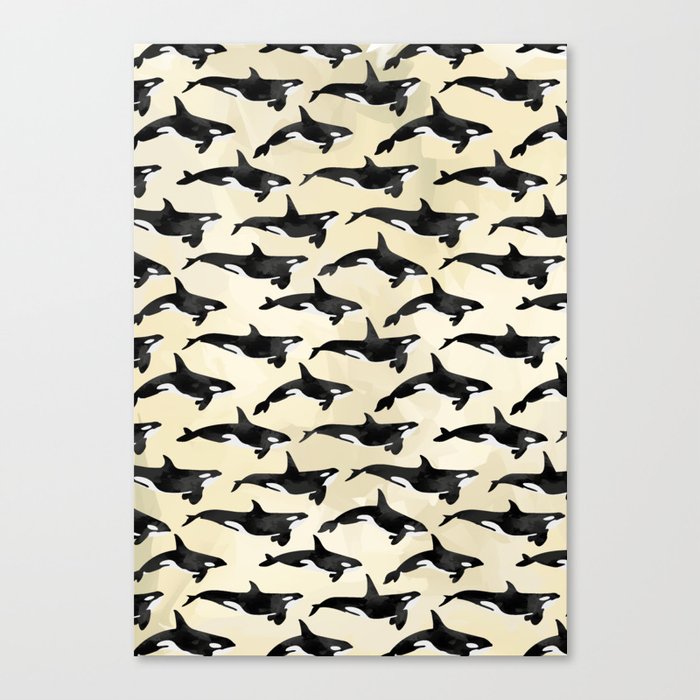 Pod of Orcas in Puget Canvas Print