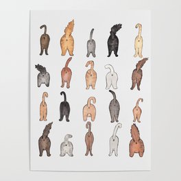 Cat butts Poster