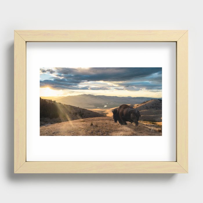 Sunset Buffalo Recessed Framed Print