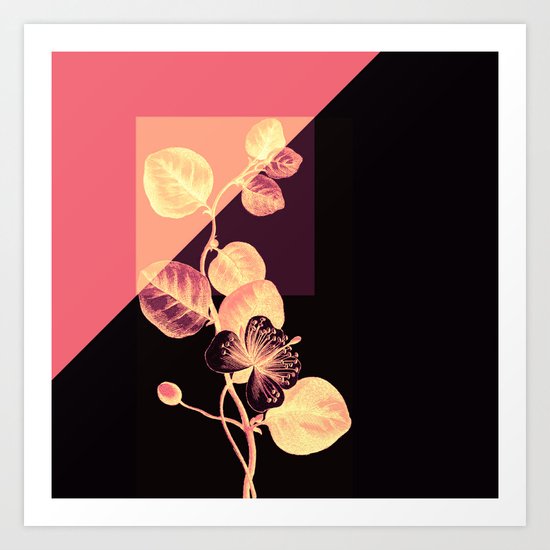 flower on pink,purple and black Art Print