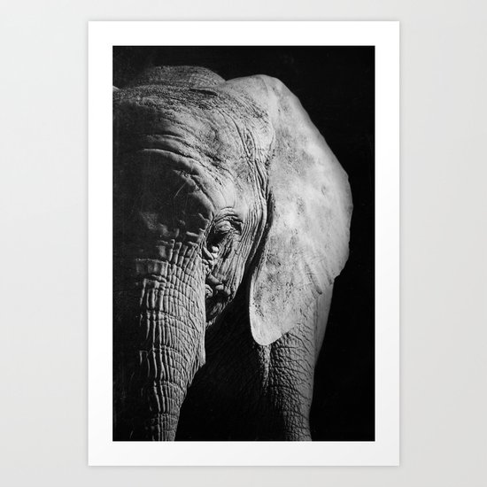 Elephant Art Print