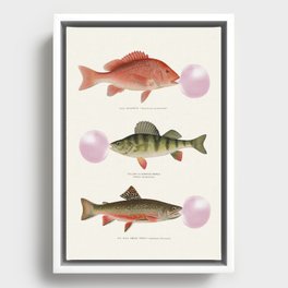 Bubblegum Fish Framed Canvas