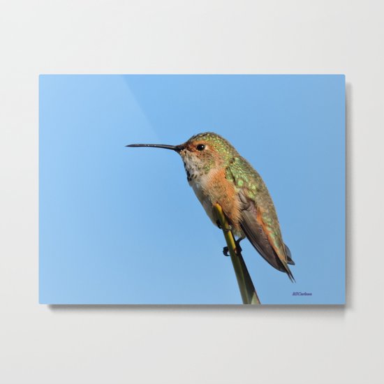 Grasping the Point Metal Print