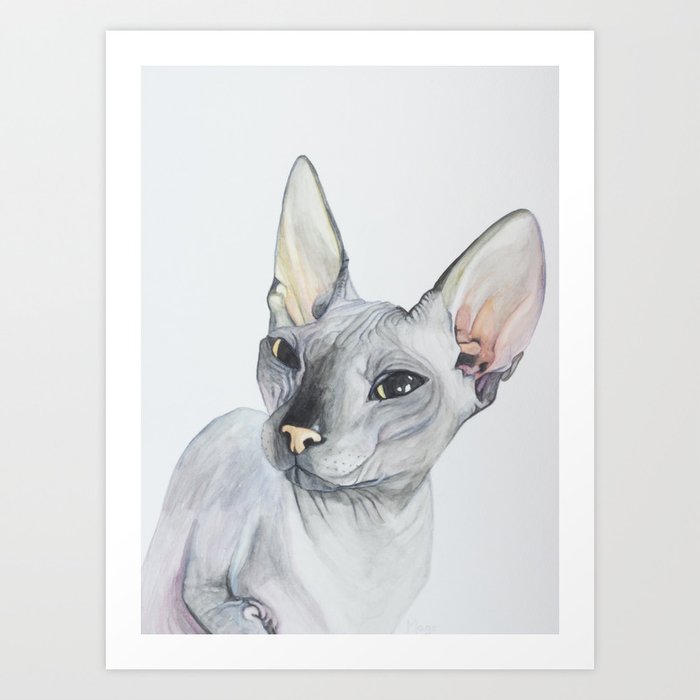 Cat Portrait #3 - Sphynx (2016) Art Print