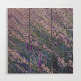 Field of Tall Wild Lavender Plants Wood Wall Art