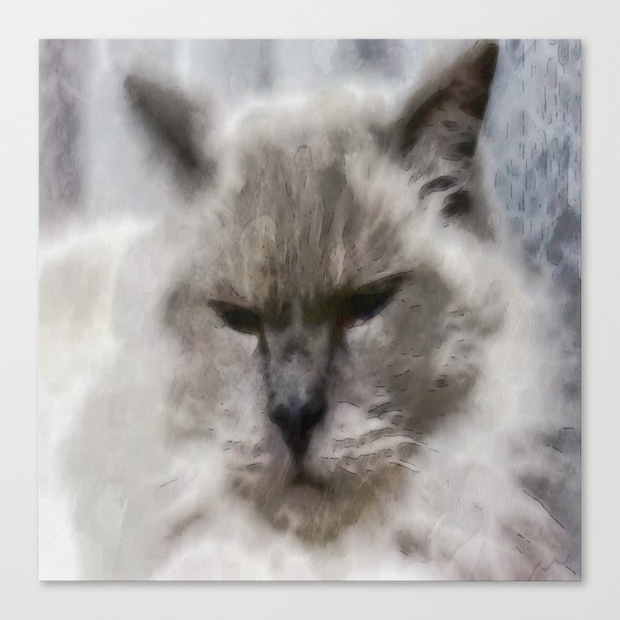 White Persian Cat In Watercolor Canvas Print By Taiche Society6