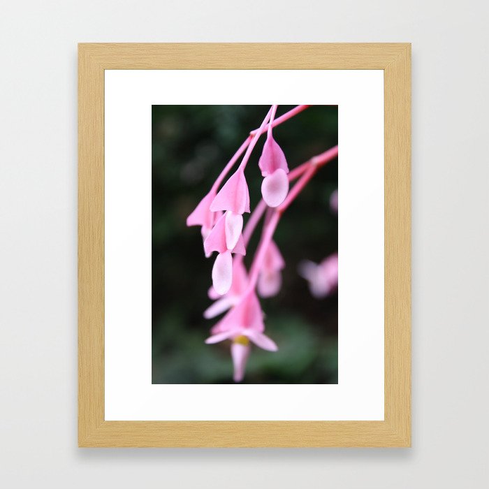 Pink Dangles Framed Art Print