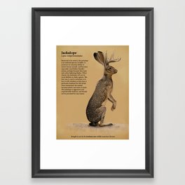 Jackalope Framed Art Print