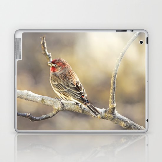 Rosy Little Finch Laptop & iPad Skin
