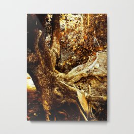 Nature Elders Metal Print | Digital, Photo, Nature 