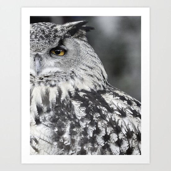 Owl EYE Art Print