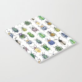 Colourful Bugs Notebook