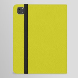 Green-Gold iPad Folio Case