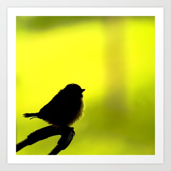 Baby Bird In Early Summer Art Print
