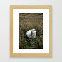 Welsh Pastures Framed Art Print