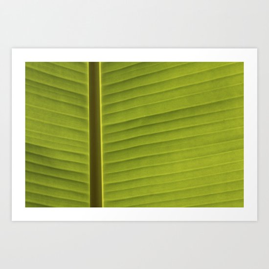 Banana Leaf IV Art Print