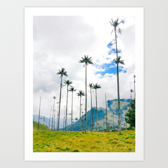 Palms in the Cocora Valley Fine Art Print Art Print