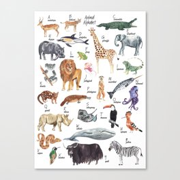 Animal Alphabet Canvas Print