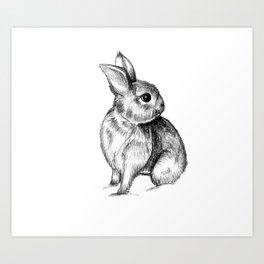 Bunny #4 Art Print