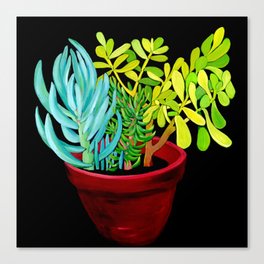 Succulent Pot Canvas Print