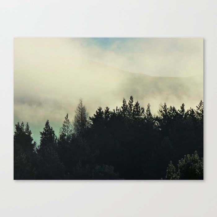 Misty Pine Tree Mountain Perspective Canvas Print