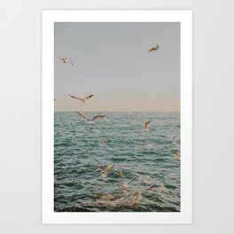 summer ocean iii Art Print