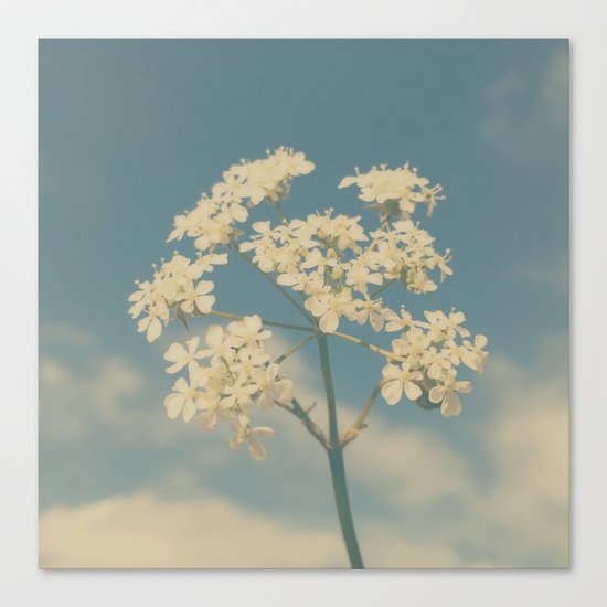 Wild and Free Canvas Print