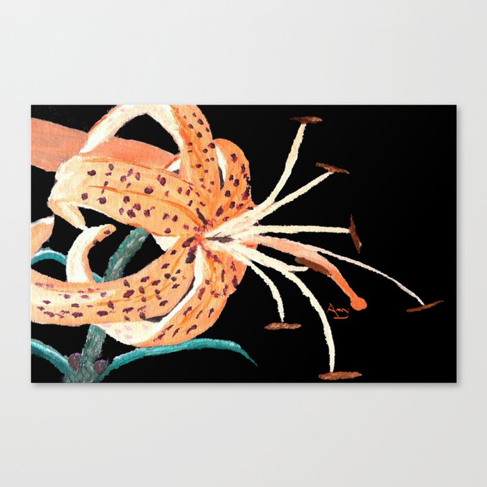 Tiger Lily... Canvas Print