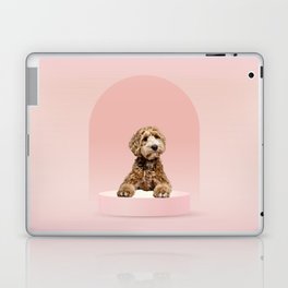 Goldendoodle Laying on Pastel Pink Podium Laptop Skin