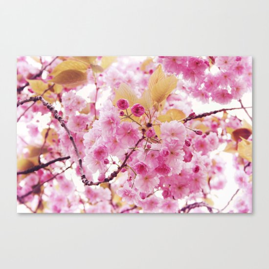 Bloom, bloom, bloom! Canvas Print