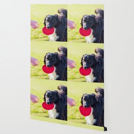 Frisbee Wallpaper For Any Decor Style Society6