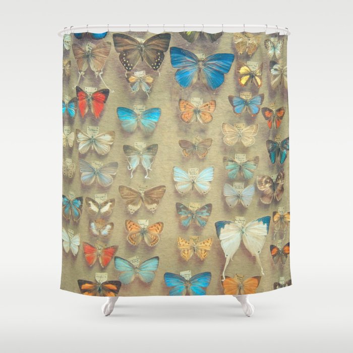 The Butterfly Collection II Shower Curtain